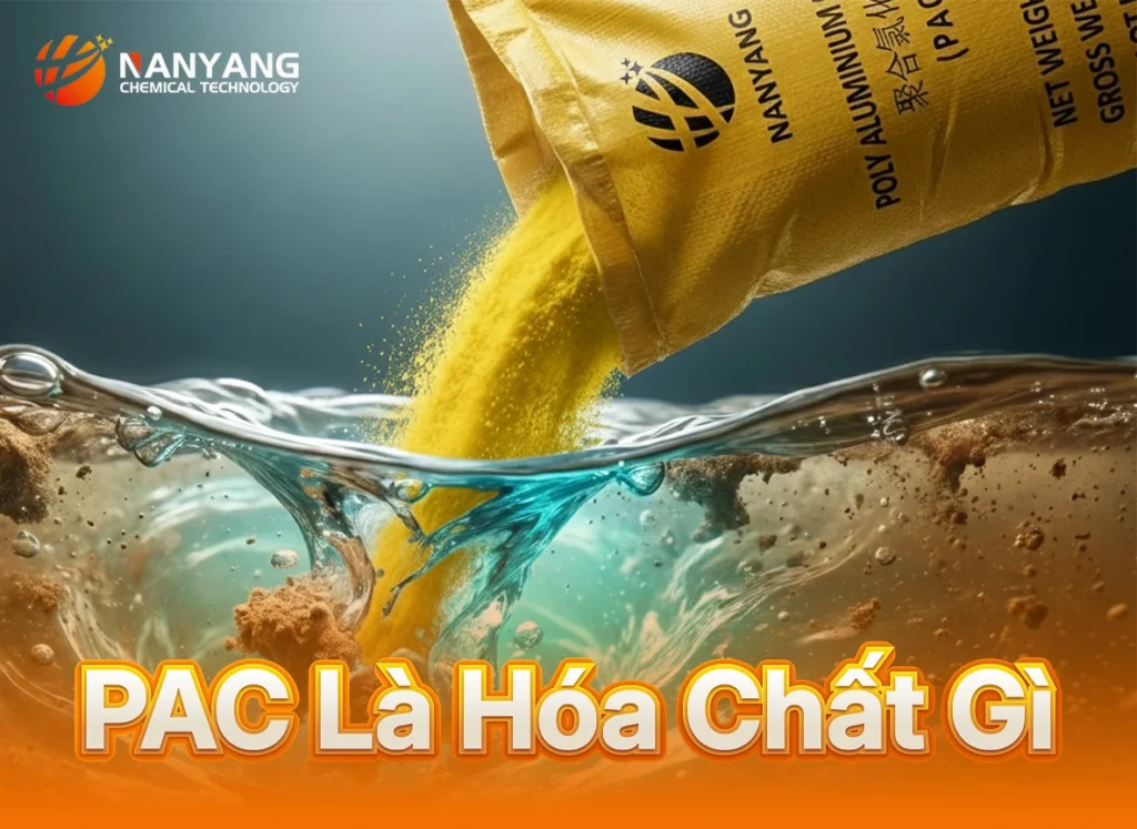 pac là hóa chất gì